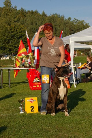 www.boxer-show.eu